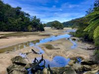 Ebbe &ndash; &copy; Elisabeth Fox-Maerki (Eberhardt TRAVEL)