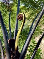 Das perfekte Foto eines “Fidelheads” Wahrzeichen von NZ &ndash; &copy; Elisabeth Fox-Maerki (Eberhardt TRAVEL)