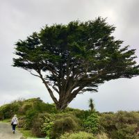 Wanderung auf dem Kuestenweg &ndash; &copy; Elisabeth Fox-Maerki (Eberhardt TRAVEL)