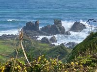 Cape Foulwind &ndash; &copy; Elisabeth Fox-Maerki (Eberhardt TRAVEL)