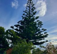 Hoch zum Himmel ragend &ndash; &copy; Elisabeth Fox-Maerki (Eberhardt TRAVEL)