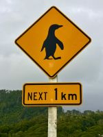 Schon wieder Pinguine !?!? &ndash; &copy; Elisabeth Fox-Maerki (Eberhardt TRAVEL)