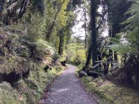 Tolles Neuseeland &ndash; &copy; Elisabeth Fox-Maerki (Eberhardt TRAVEL)