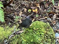 Hier ist er, klein, süß, ohne Angst &ndash; &copy; Elisabeth Fox-Maerki (Eberhardt TRAVEL)