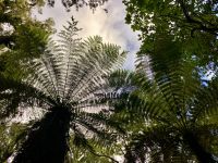 Fluss Weg in Fox Village &ndash; &copy; Elisabeth Fox-Maerki (Eberhardt TRAVEL)