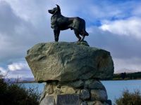 Andenken an den Schäferhund, kurzhaar Collie &ndash; &copy; Elisabeth Fox-Maerki (Eberhardt TRAVEL)