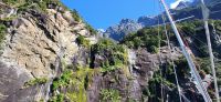 253 Impressionen Milford Sound