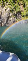 256  Impressionen Milford Sound