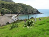 zurück zur Fletcher Bay &ndash; &copy; Anna Stiebing (Eberhardt TRAVEL)