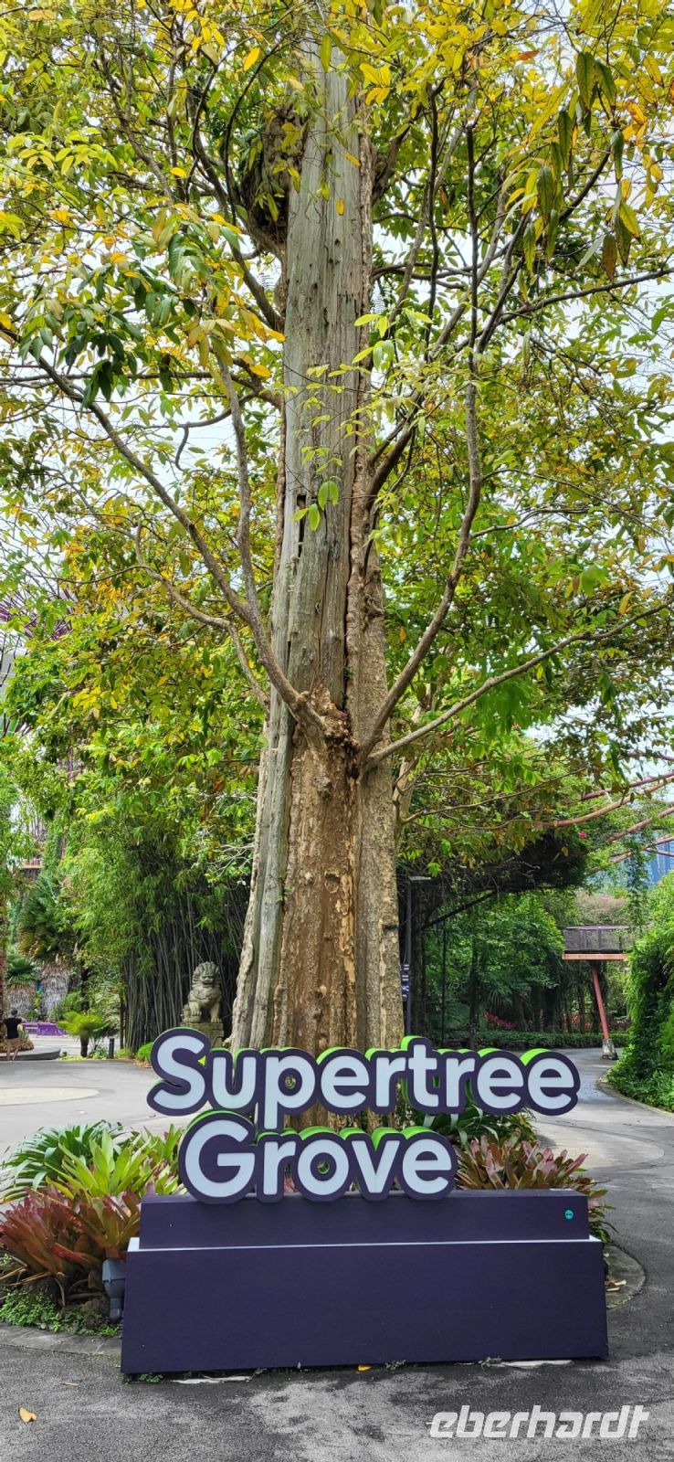 26 Supertree Park