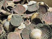 unser Abendessen ist fast fertig... &ndash; &copy; Anna Stiebing (Eberhardt TRAVEL)