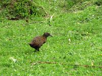 Wekaralle &ndash; &copy; Anna Stiebing (Eberhardt TRAVEL)