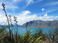 Lake Wanaka &ndash; &copy; Anna Stiebing (Eberhardt TRAVEL)