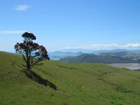 Coromandel &ndash; &copy; Anna Stiebing (Eberhardt TRAVEL)