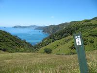 Coromandel Walkway &ndash; &copy; Anna Stiebing (Eberhardt TRAVEL)