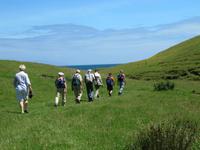 Wanderung Coromandel Walkway &ndash; &copy; Anna Stiebing (Eberhardt TRAVEL)