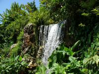 Wasserfall im Botanischen Garten