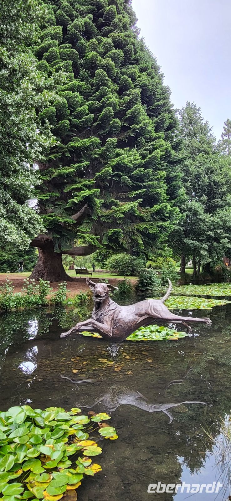 288  Botanischer Garten Queenstown
