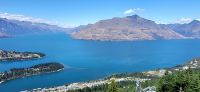 292 Blick auf Queenstown aus 480 m Höhe