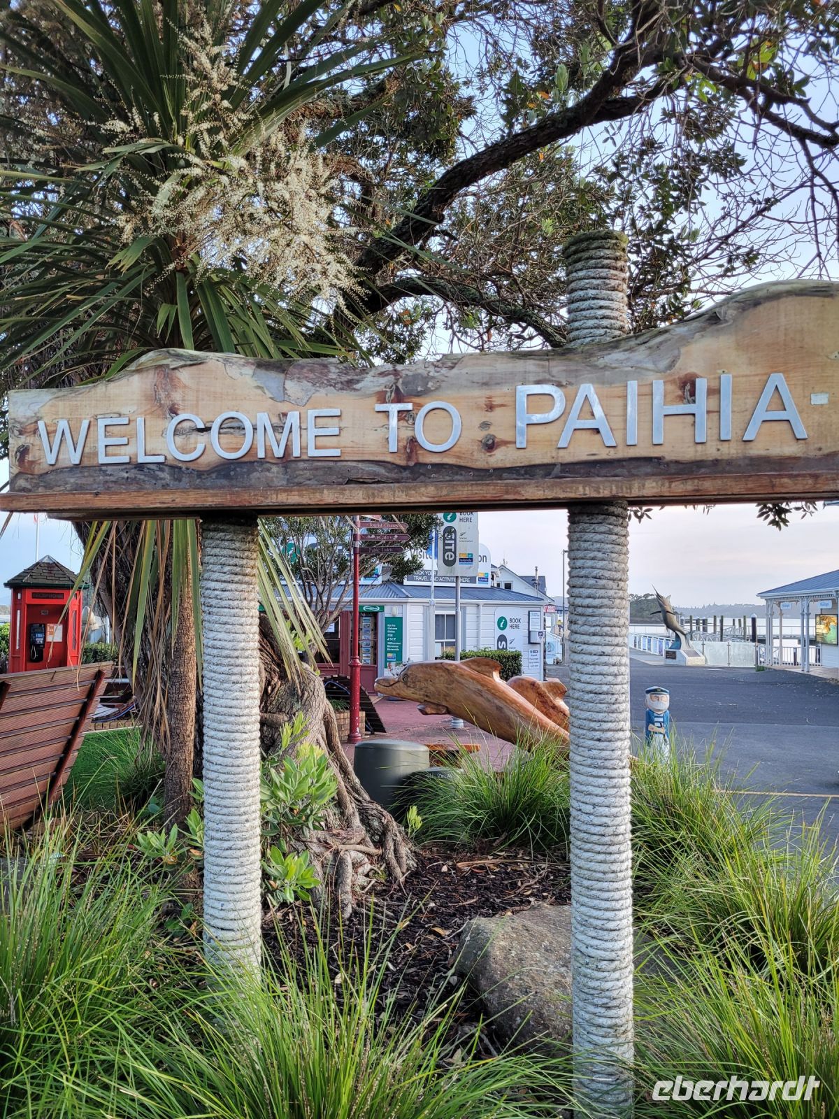3-009 Pahia