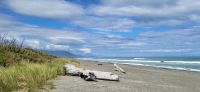 369 Abschiedstrunk am Strand