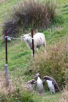 Was macht ihr denn da?