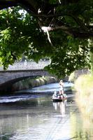 Avon River in Christchurch
