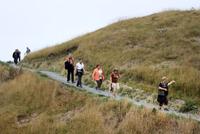 Wanderung in Kaikoura
