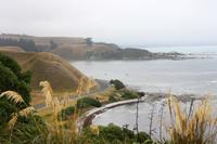 Wanderung in Kaikoura