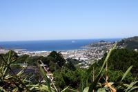 Auf dem Mt. Victoria (Aussichtspunkt in Wellington)