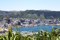 Auf dem Mt. Victoria (Aussichtspunkt in Wellington)