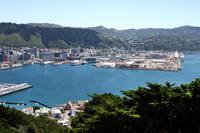 Auf dem Mt. Victoria (Aussichtspunkt in Wellington)