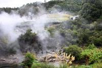 Te Puia Thermalpark