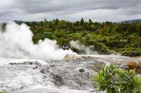 Te Puia Thermalpark