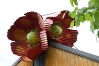 Wellblech-Kunst von Jeff Thomson