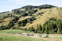 Farmer Bill zeigt uns 