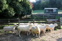 Farmer Bill zeigt uns 