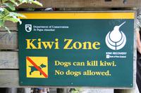 Achtung Kiwis!