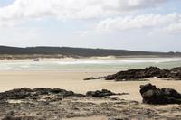 Ninety Mile Beach