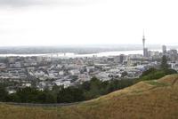 Auckland