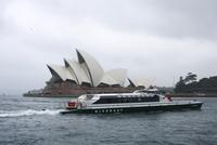 Die Oper in Sydney im Regen