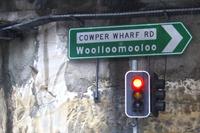 Woolloomooloo bedeutet 'junges Känguru'