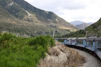 Fahrt mit dem TranzAlpine