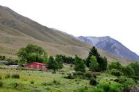 Blick aus dem TranzAlpine