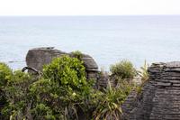 Pfannkuchenfelsen in Punakaiki