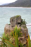 Pfannkuchenfelsen in Punakaiki