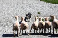 Schaffarm Walter Peak Station