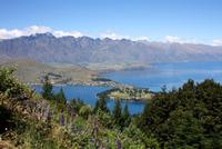 Auf dem Bob's Peak in Queenstown