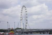 Singapore-Flyer
