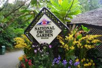 Orchideengarten in Singapur